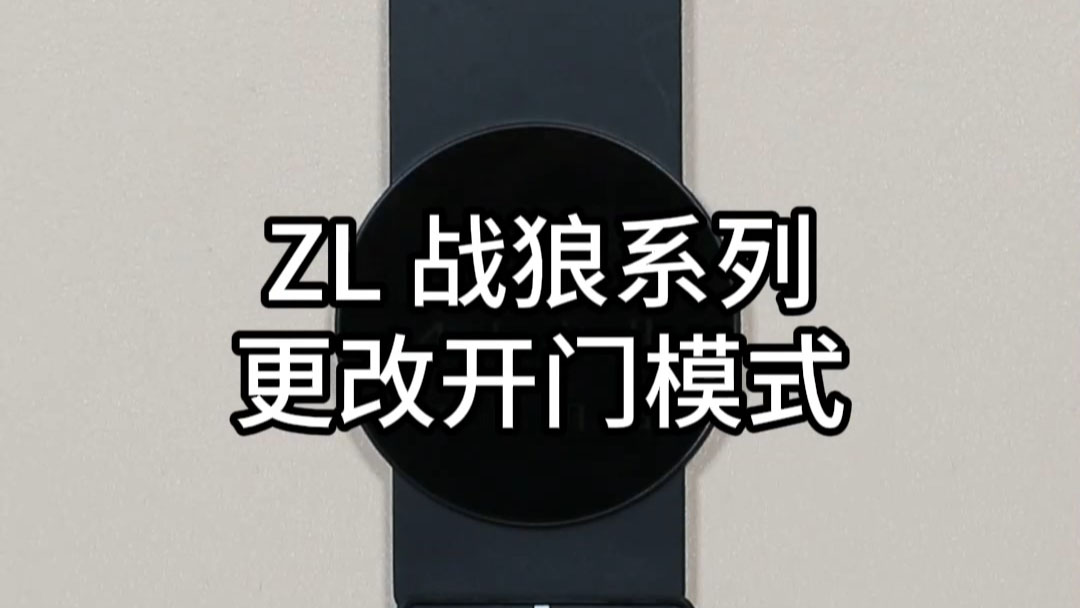 ZL戰狼更改開們(men)模式(shi)